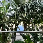 Διαμέρισμα Tropical *