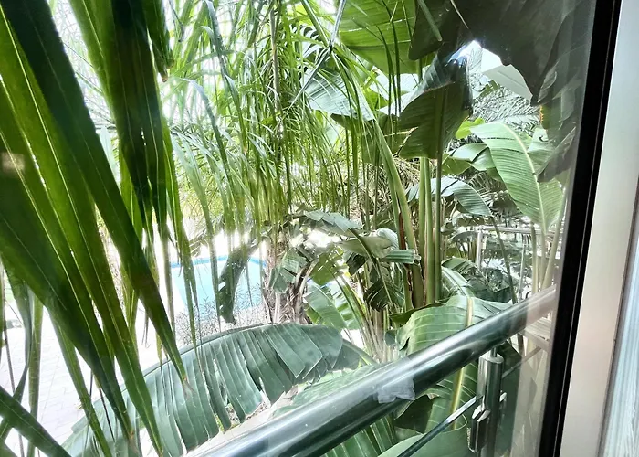 Tropical Протарас